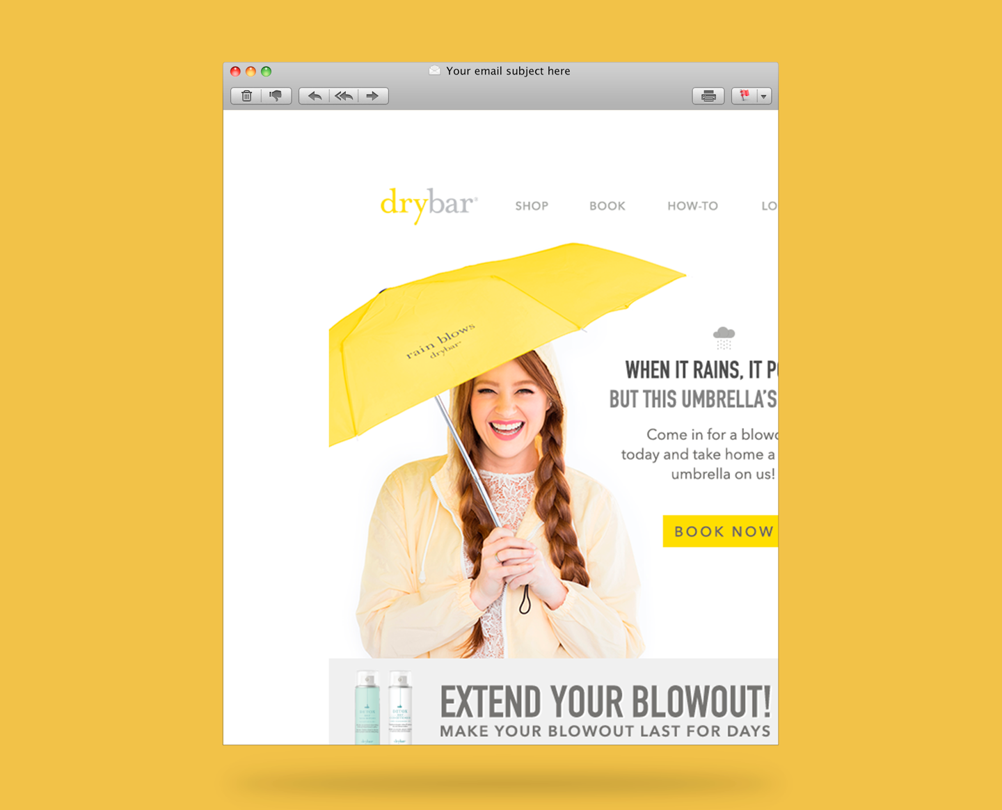 Dry Bar Email Template